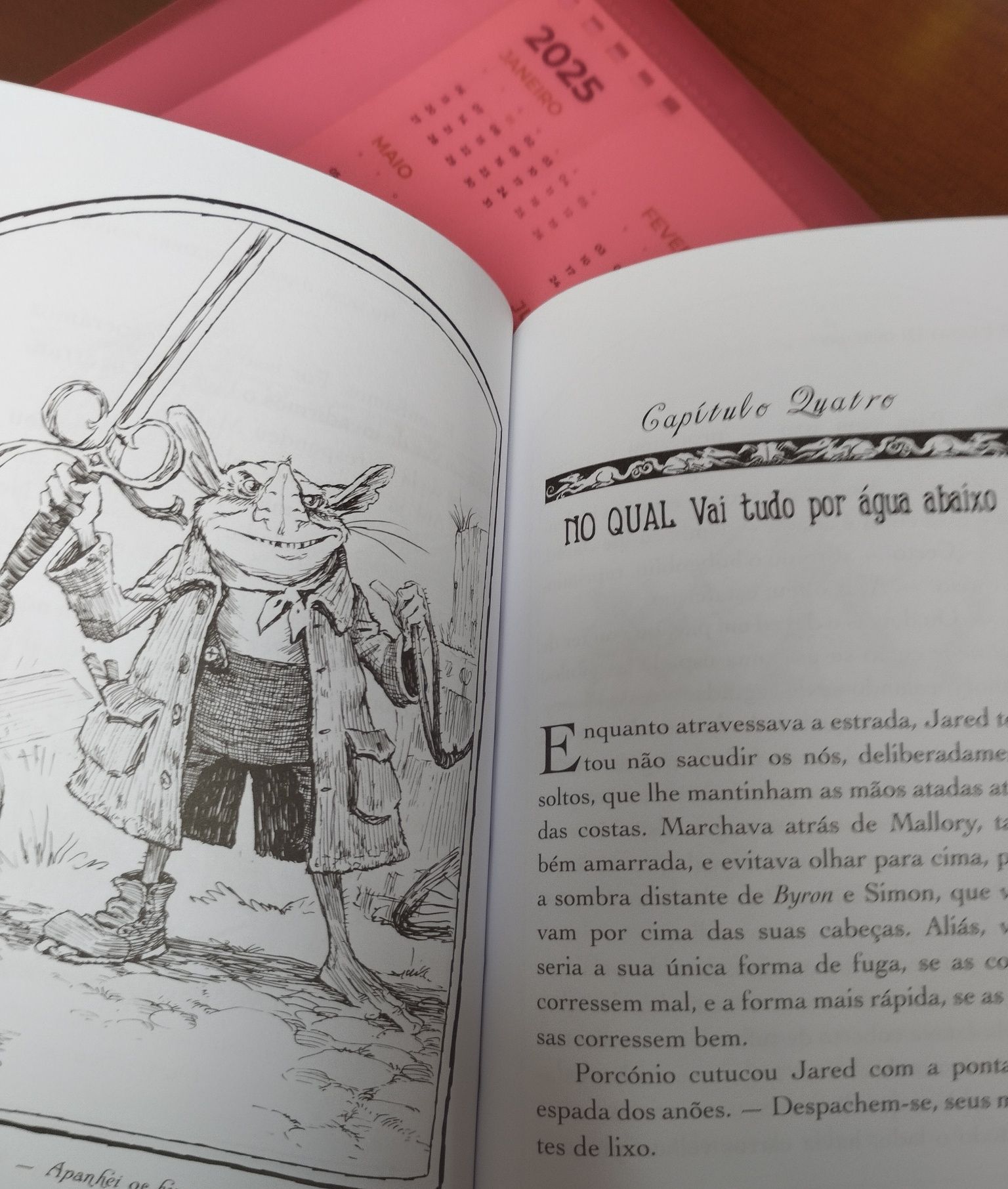 Livro Spiderwick -nr 5