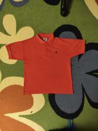 Koszulka polo czerwona, 146