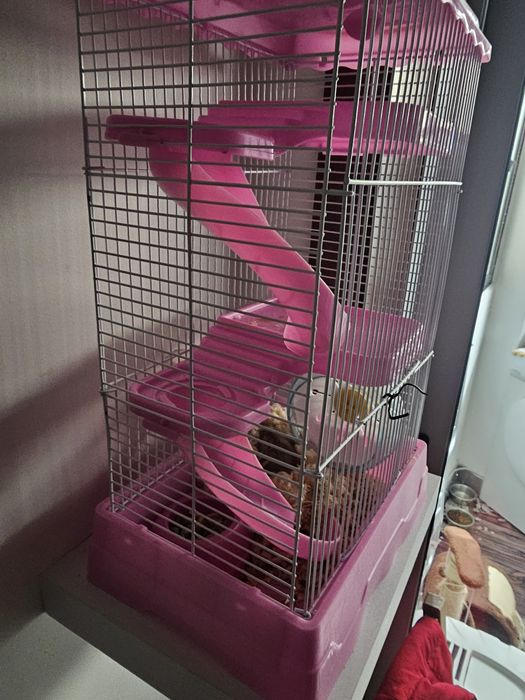 Gaiola de rato hamester