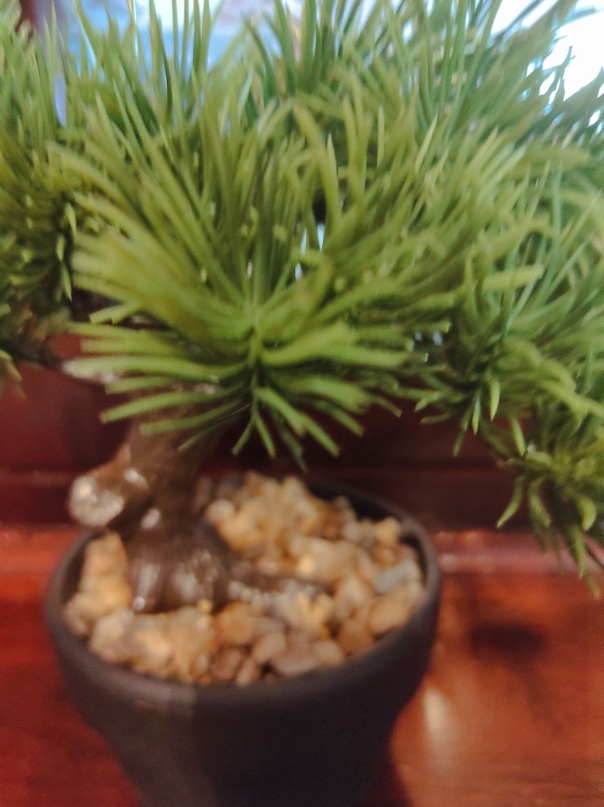 Bonsai artificial novo