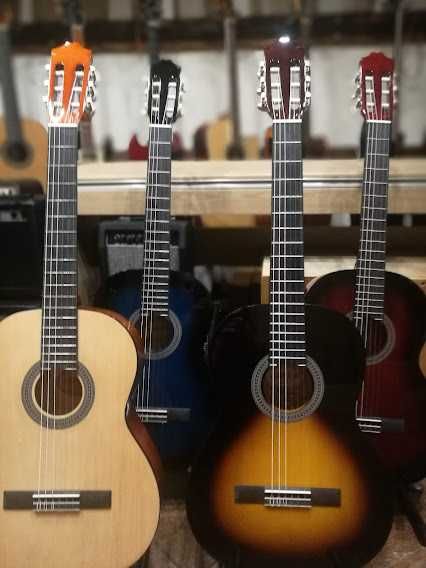 Ambra Viva gitara klasyczna 4/4 różne kolory