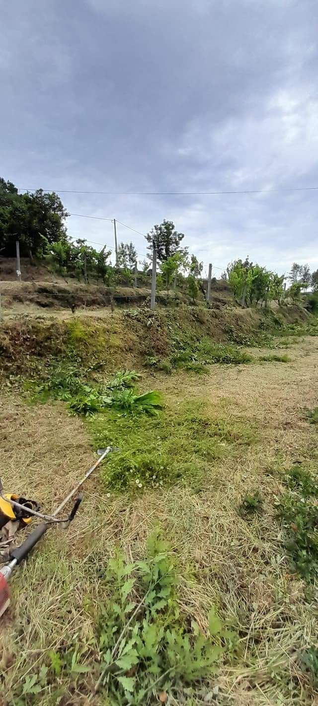 Limpeza de terrenos agrícolas e florestais