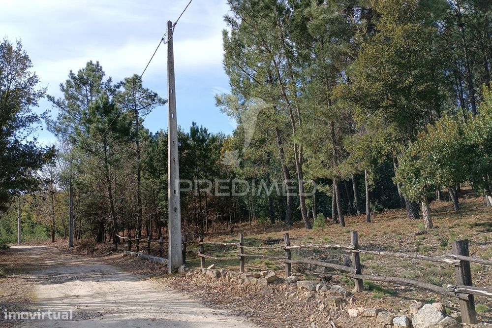 Terreno situado no Monte da Nossa Senhora do Castelo, Mangualde