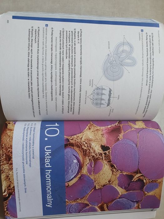 Biologia na czasie 3