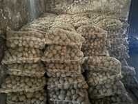Ziemniaki Catania   15 kg