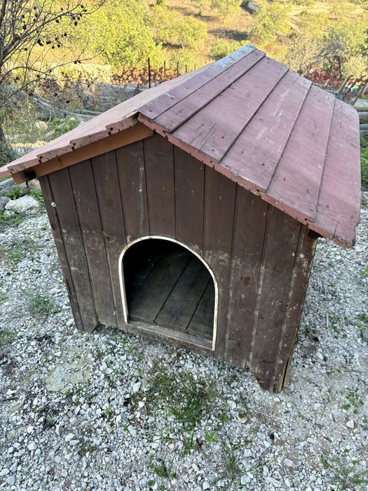 Casota cao grande , usada .