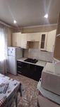 3 комн в центре левого берега