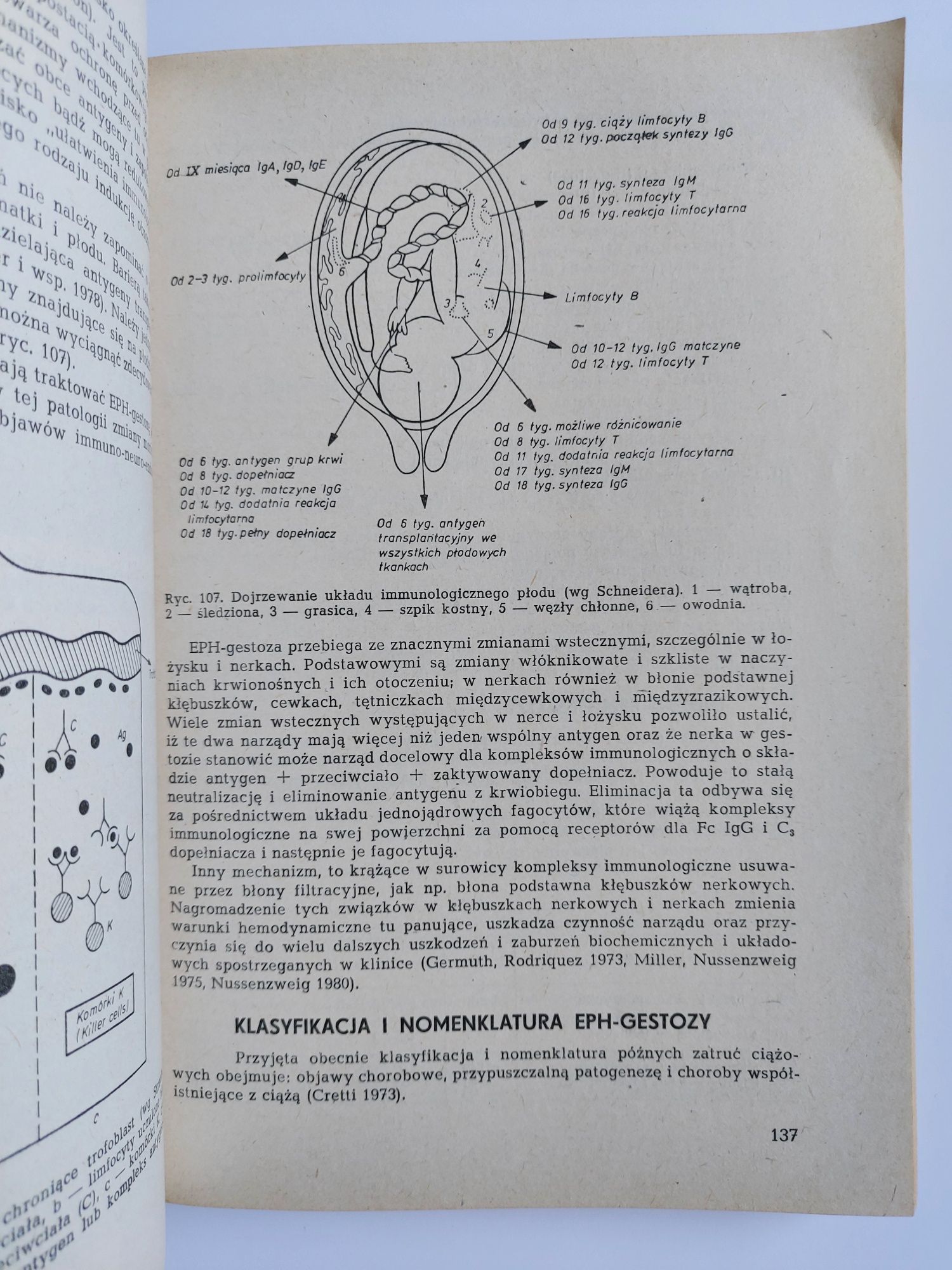 Położnictwo i ginekologia - Książka