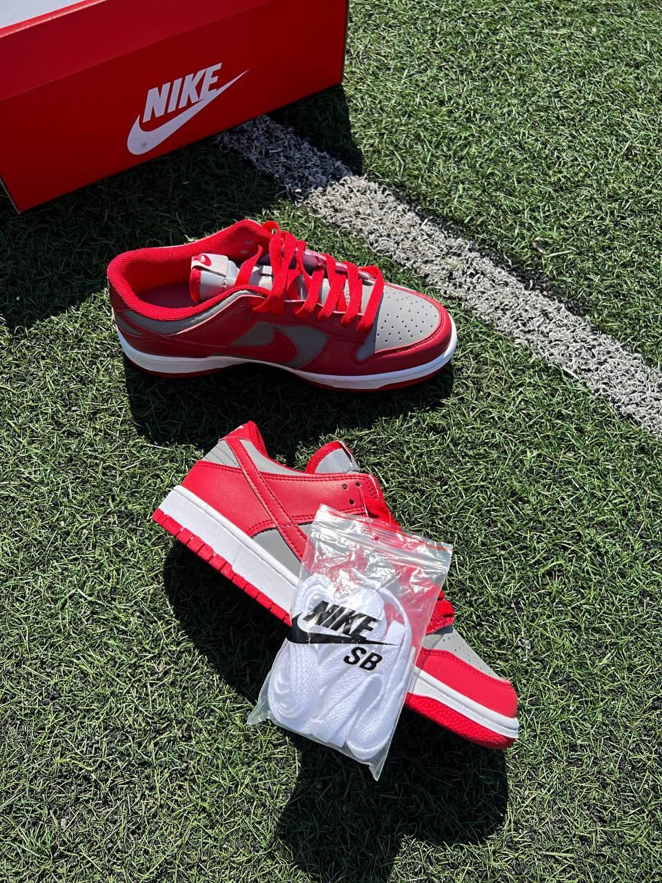 Кроссовки Nike SB Dunk Low Retro Medium Grey Red v2