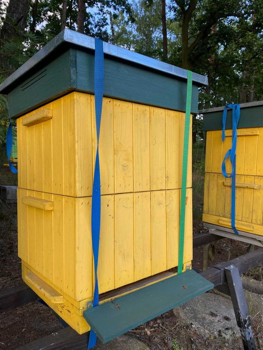 sprzedam ule ramka wielkopolska leżaki i korpusowe