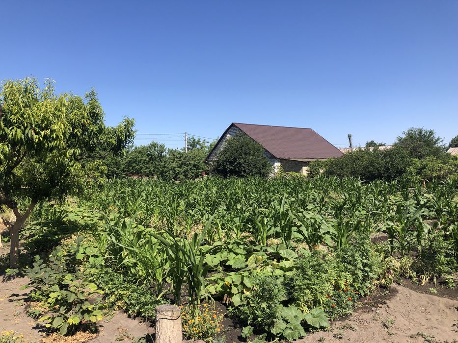 Ділянка/участок 15сот в с.Яськи 45км від Одеси