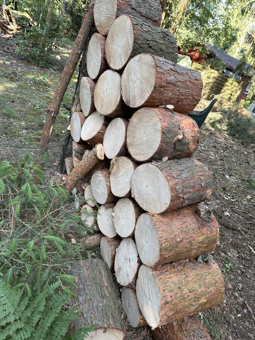 Drewno bale pieńki sosna