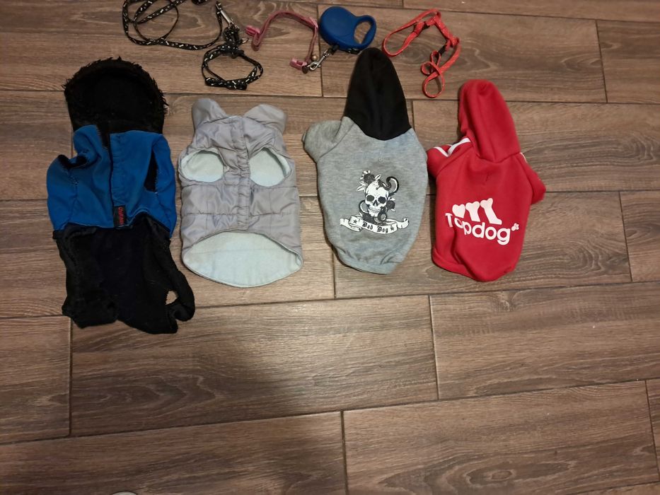 Ubranka dla yorka do 3 kg.