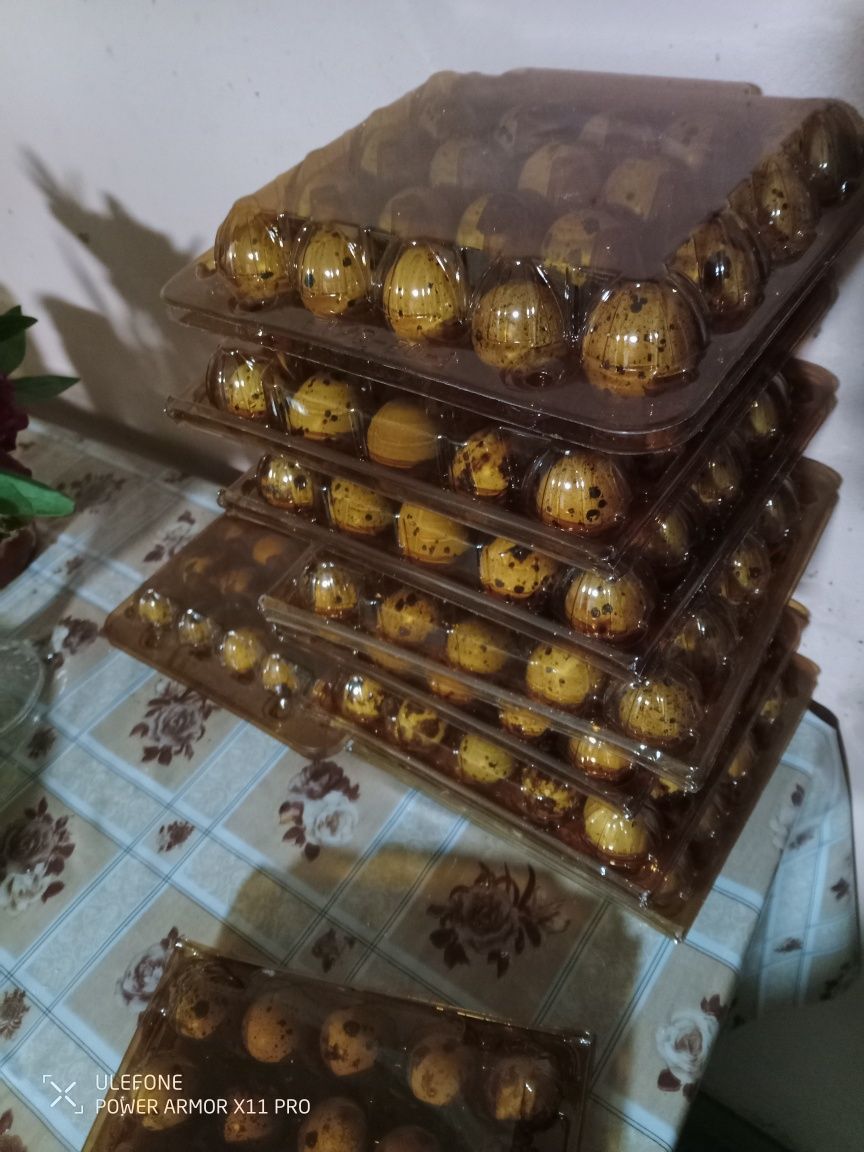 Перепелині   яйця