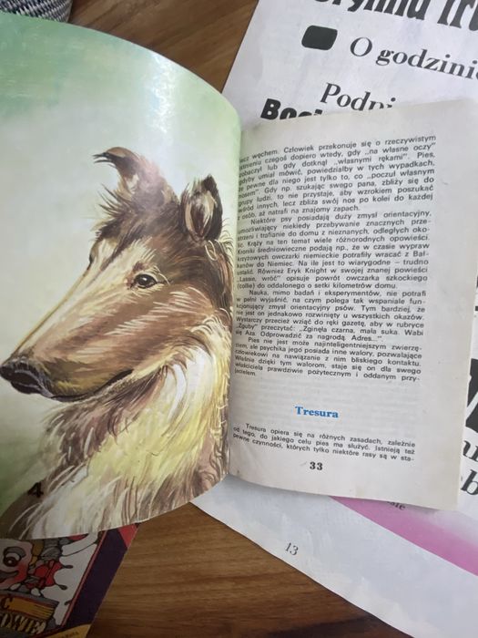 Jan Brzechwa. Pan Drops i jego trupa + 3 bajki