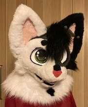 Fursuit na bazie od coverwithfurr
