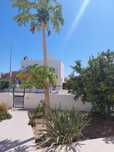 Moradia Moncarapacho - Fuseta, Algarve