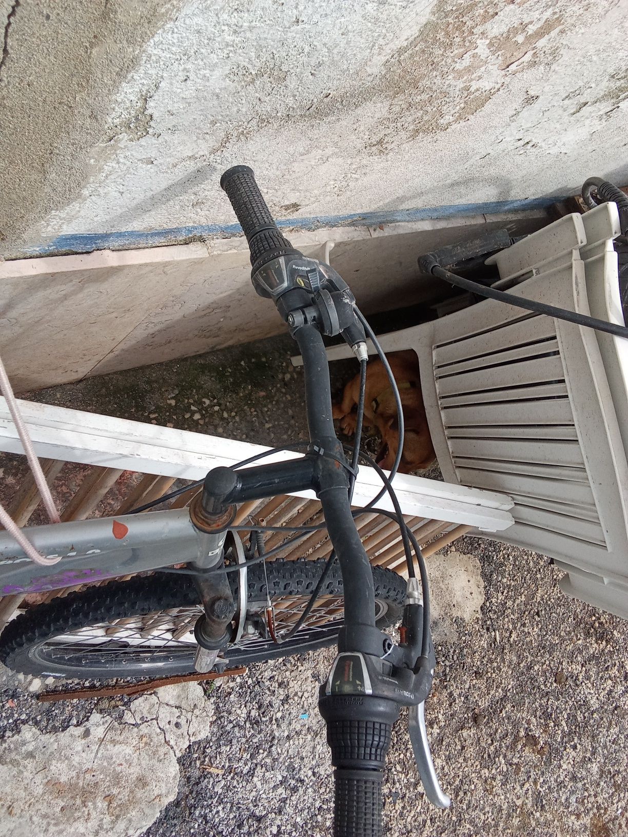 bicicleta em bom estado
