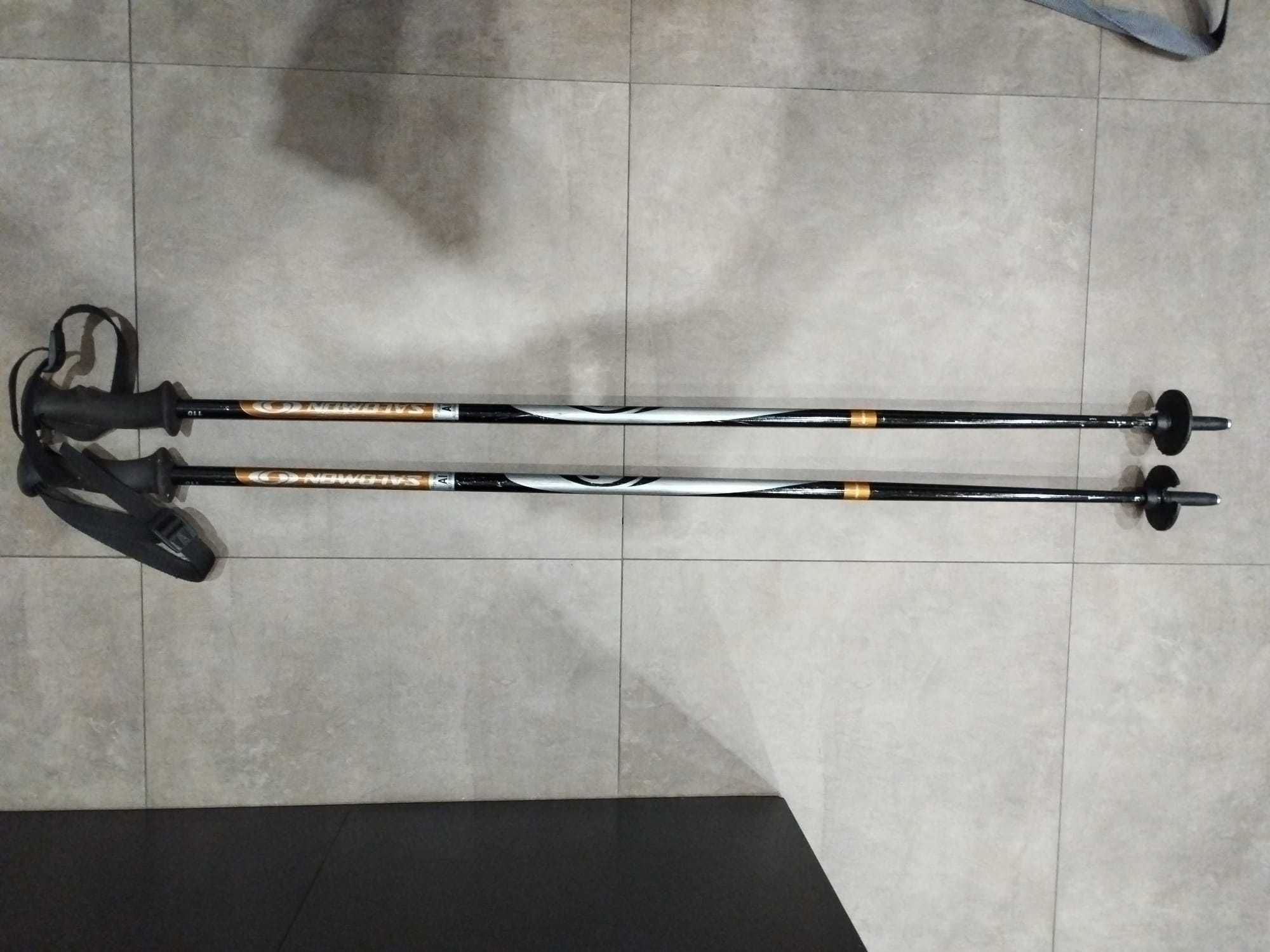 Par de Bastões de ski