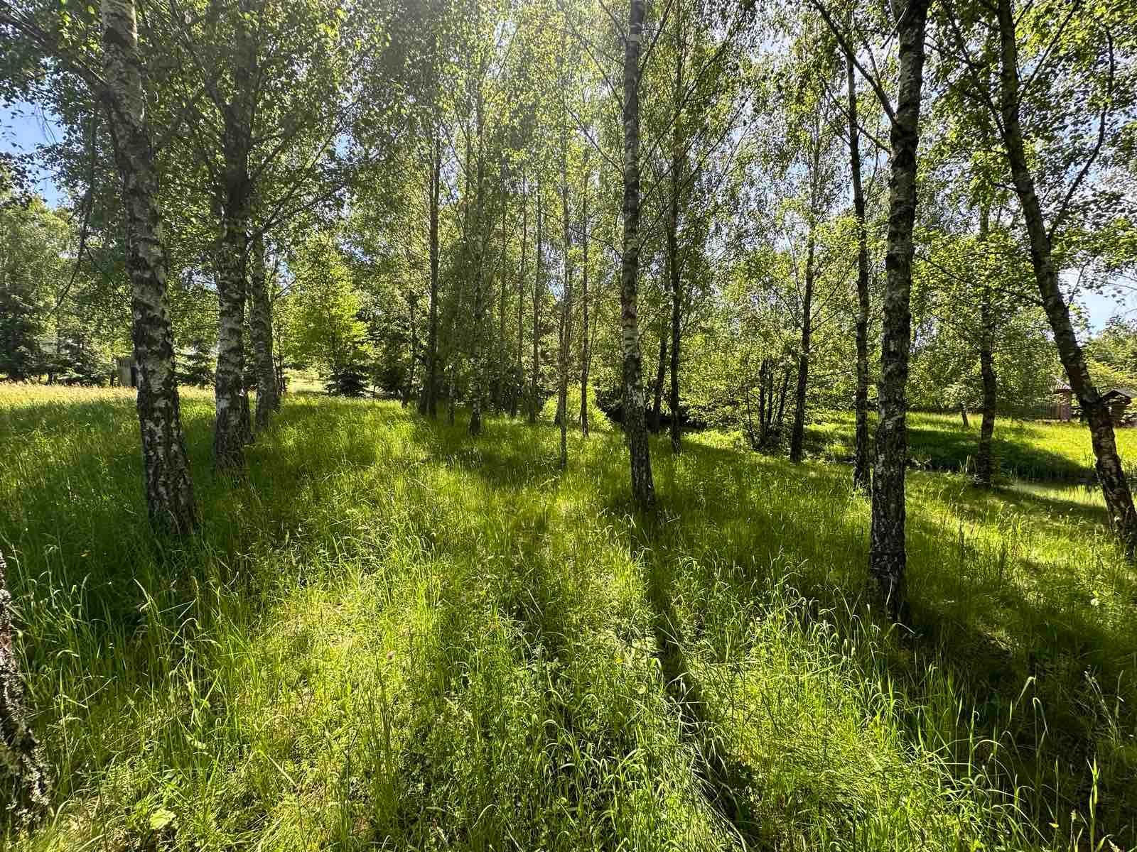 Продається земельна ділянка в с. Ракош