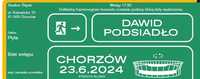 ZAMIENIĘ Koncert Dawid Podsiadło 23.06.2024