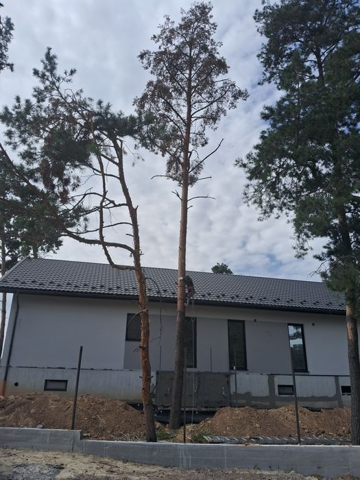 Спил, обрізка плодових, розпил дров