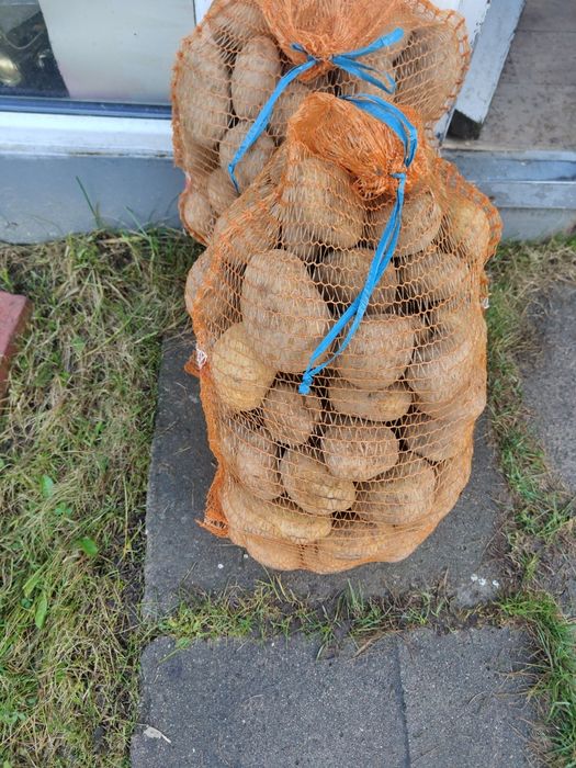 Ziemniaki vineta workowane po 15 kg