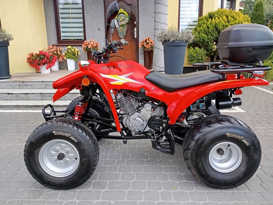 Quad ADLY 300 Sport  Thunder Bike Manual Wsteczny Homologacja L7e