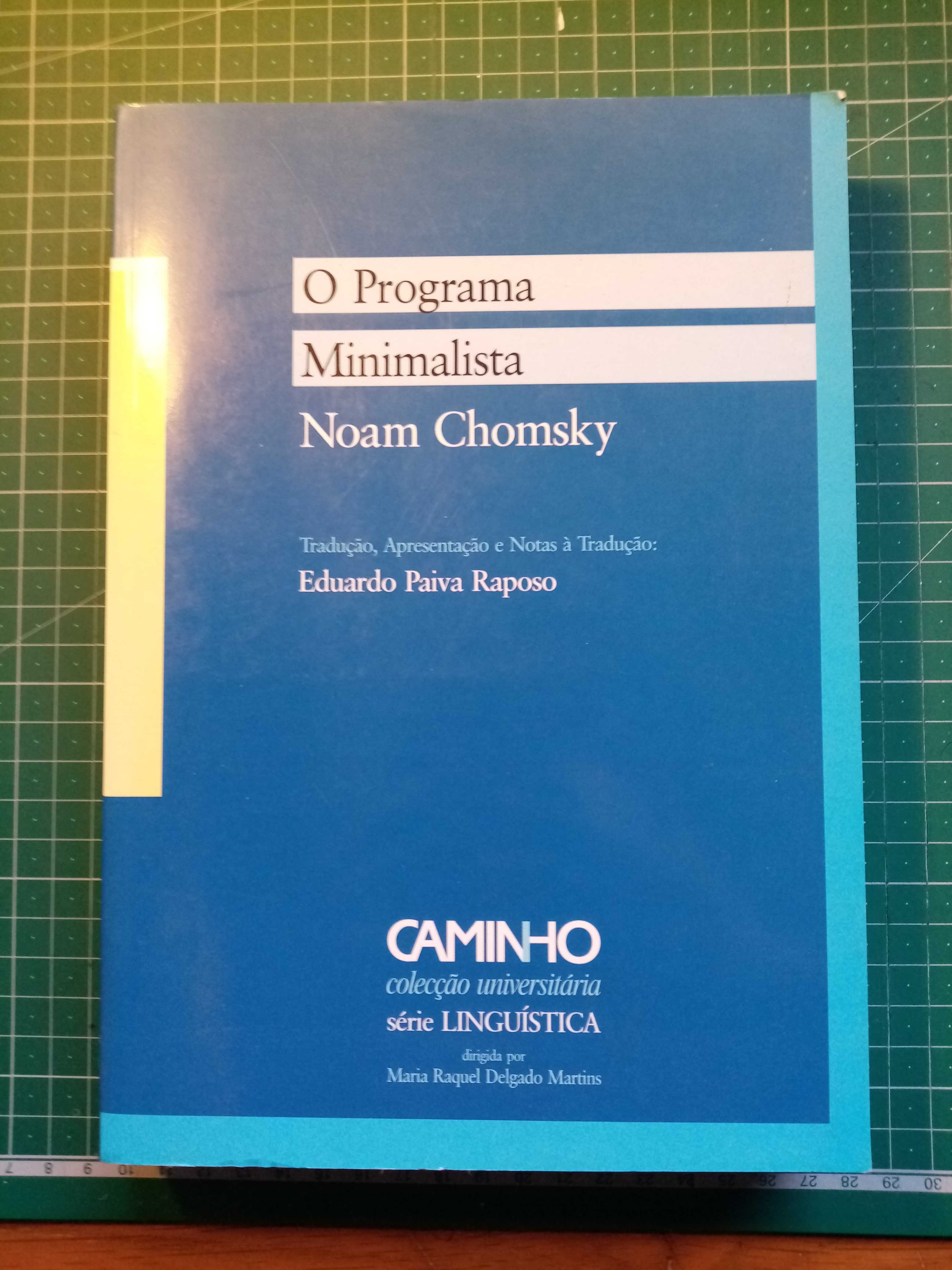 Noam Chomsky "O Programa Minimalista"