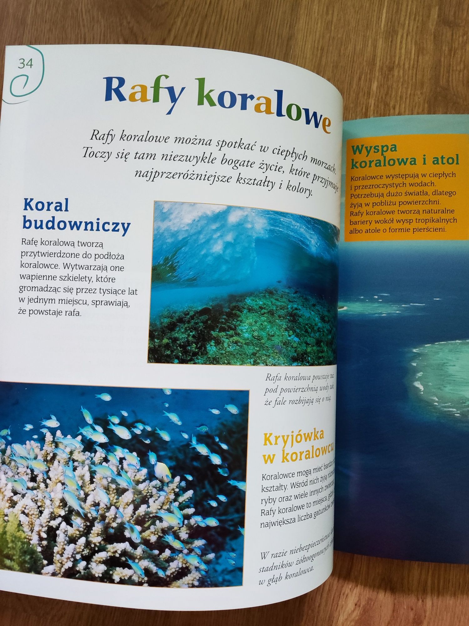 Encyklopedia dla dzieci -Morza