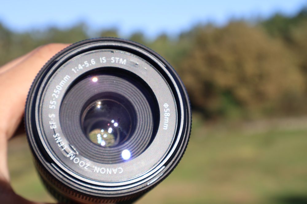 Canon EFS 55-250 mm F/4-5.6 IS STM