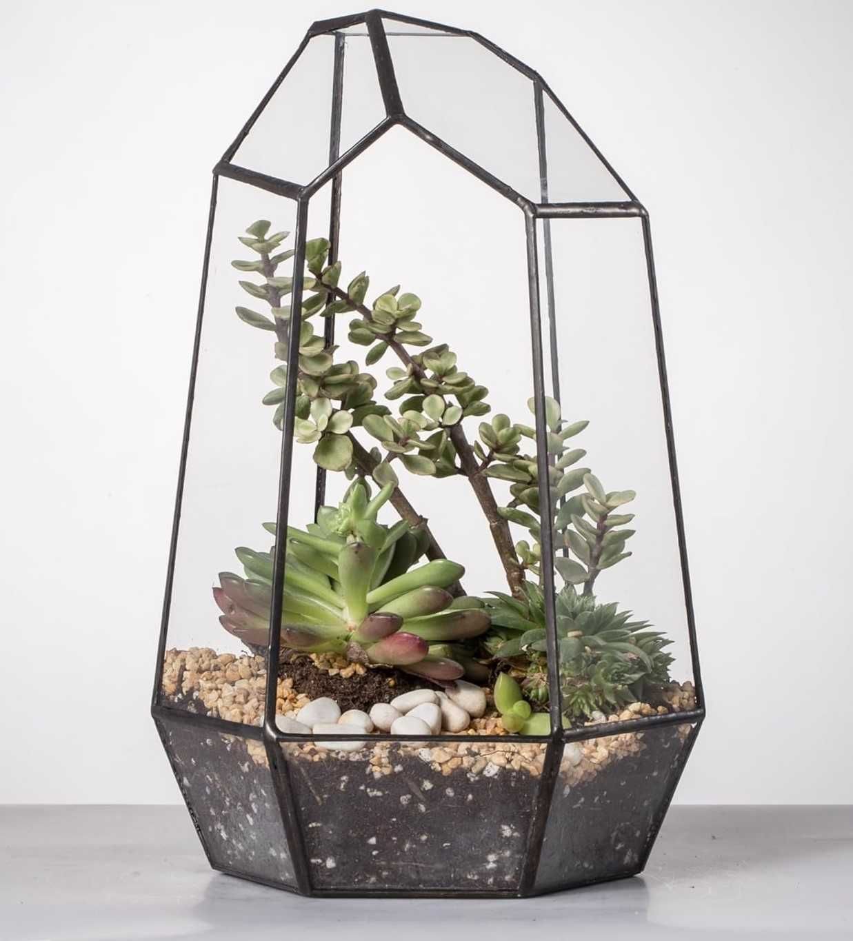 Szklane terrarium, 16,5 x 16,5 x 25 cm, nieregularny kształt [P28]