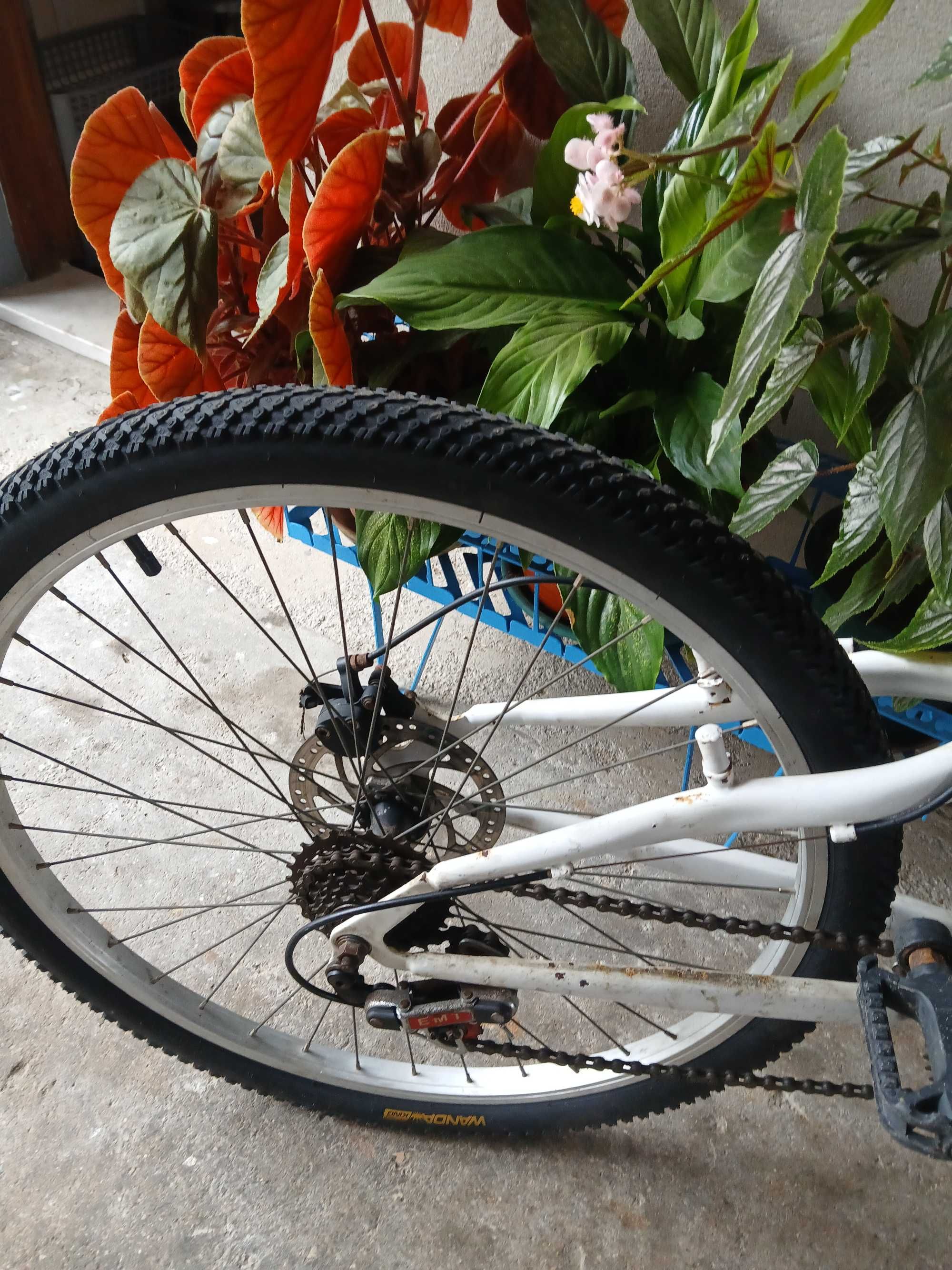 Bicicleta em estado satisfatório