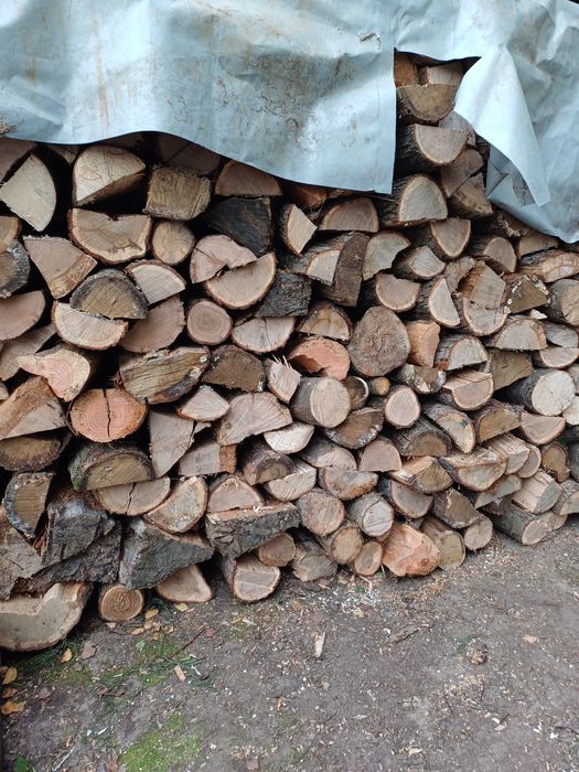 Drewno opałowe, drzewo kominkowe, opał