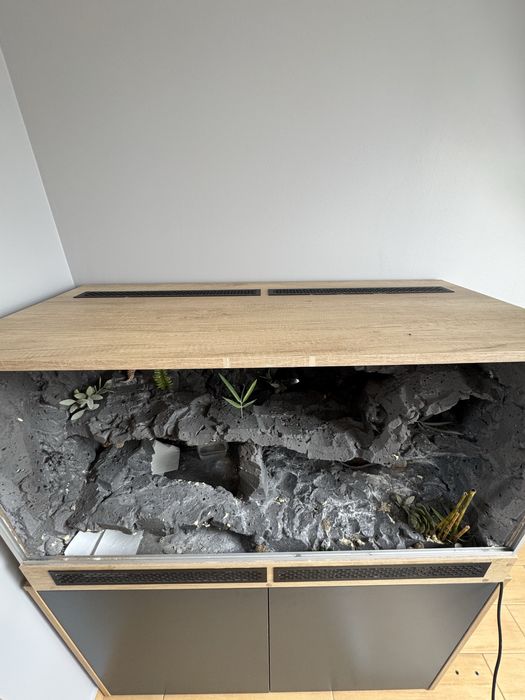 Terrarium 120x60x60!! + gekon lamparci!! Wyposażone!!