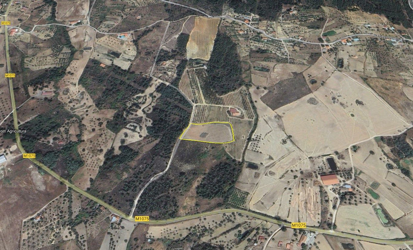 Terreno 8400m2,  com ruina granito, Catrão, Vale de Prazeres