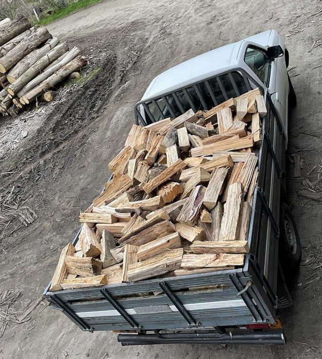 Lenha de eucalipto cortada