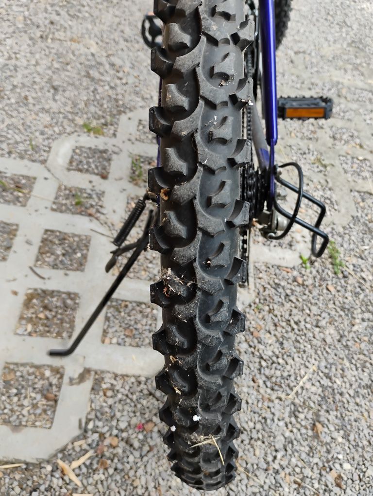 Rower giant gsr 100