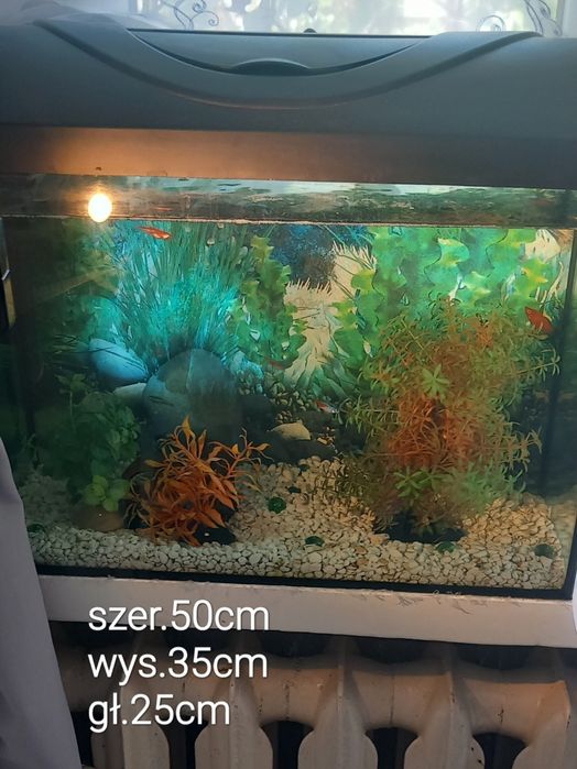 Akwarium z wyposażeniem i rybkami