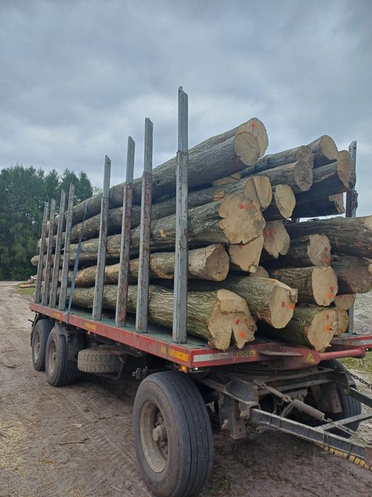 Drewno Opałowe Kominkowe