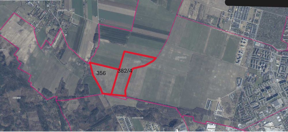 Wydzierżawię grunty orne - Słupsk