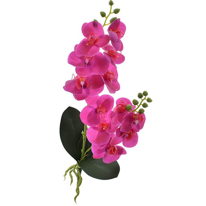 Storczyk orchidea gałązka dekoracja kwiat ozdoba