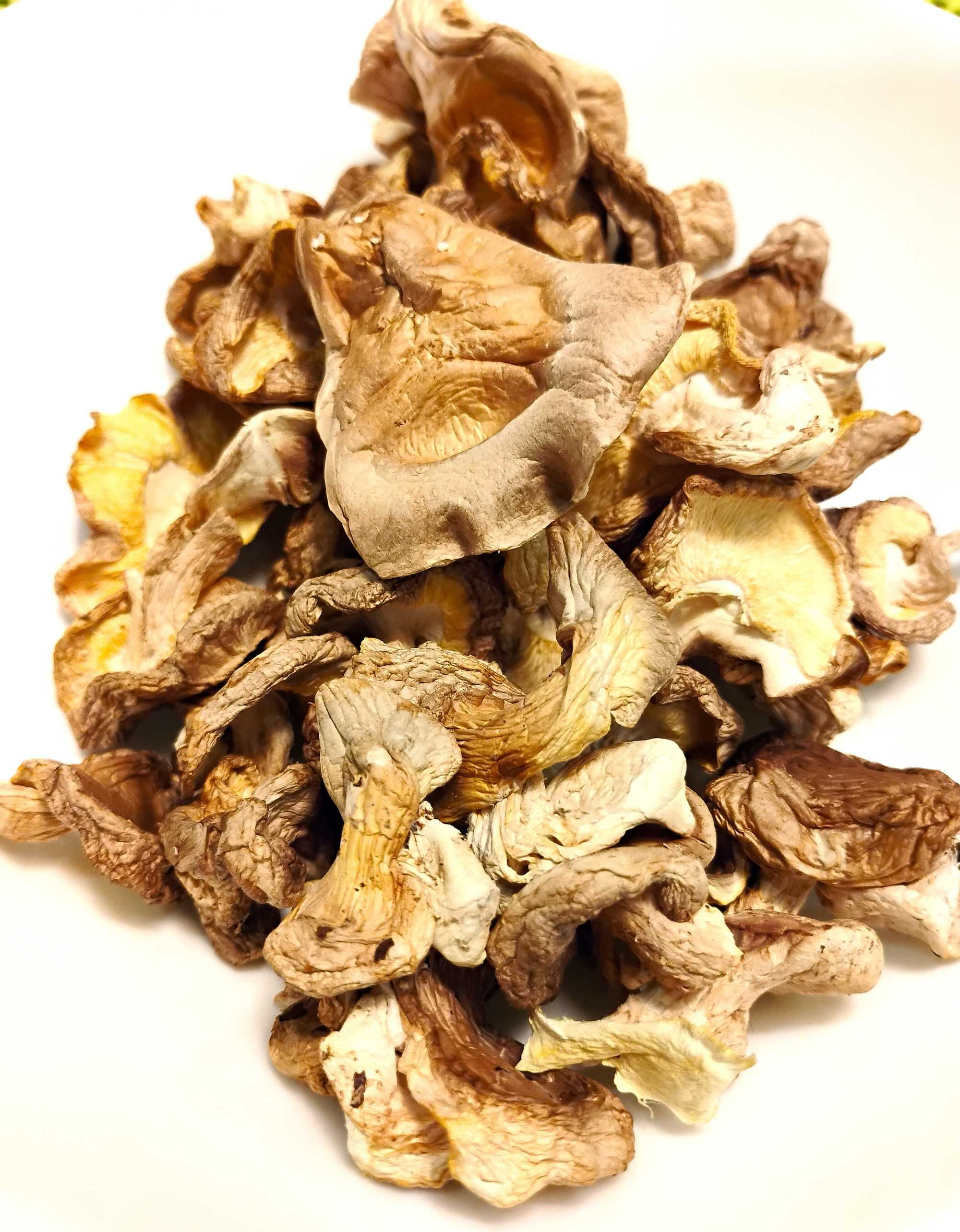 Shiitake grzyby suszone całe 30g eko polskie