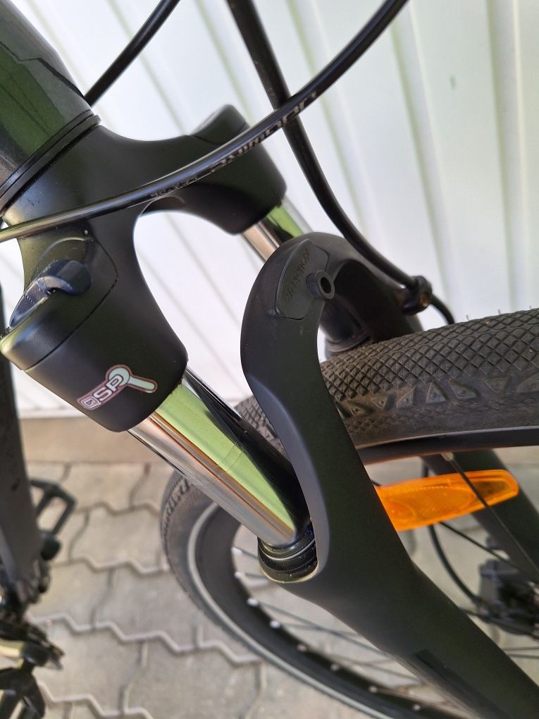 GIANT Roam 2, rama L
