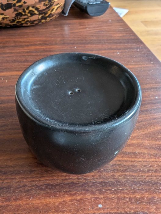 Czarna pieprzniczka cylindryczna