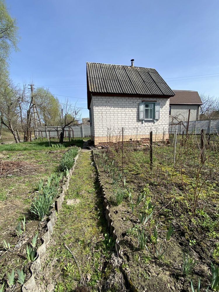 Продається дача в СТ Янтар , Жавинка!