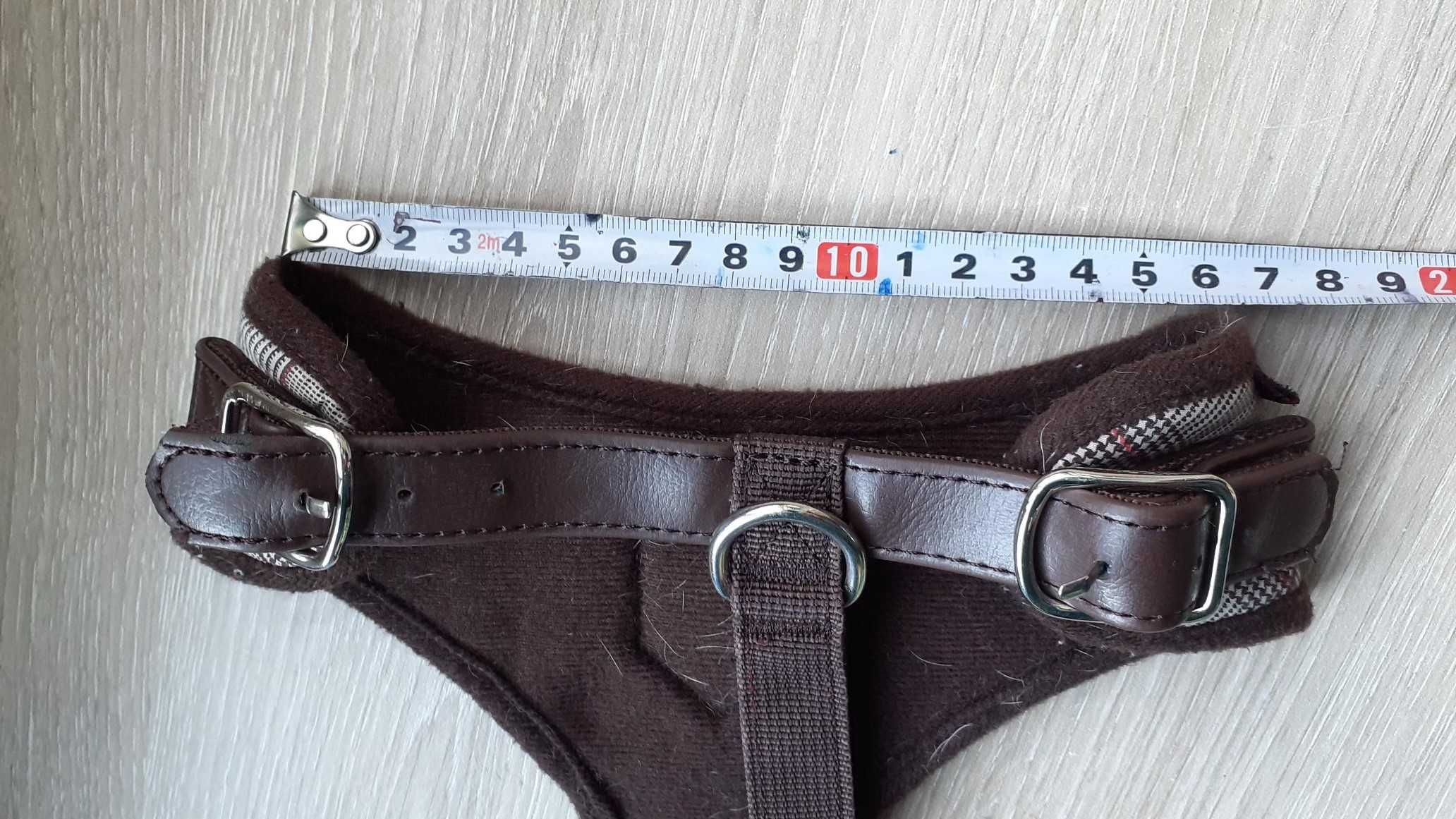 Peitilhos para cão L (bull dog francês)