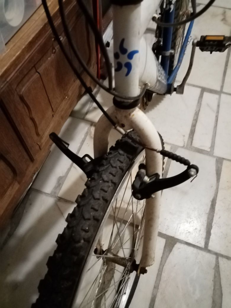 Bicicleta BTT Bike BASIC