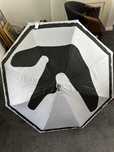 Aphex Twin ( Guarda chuva )