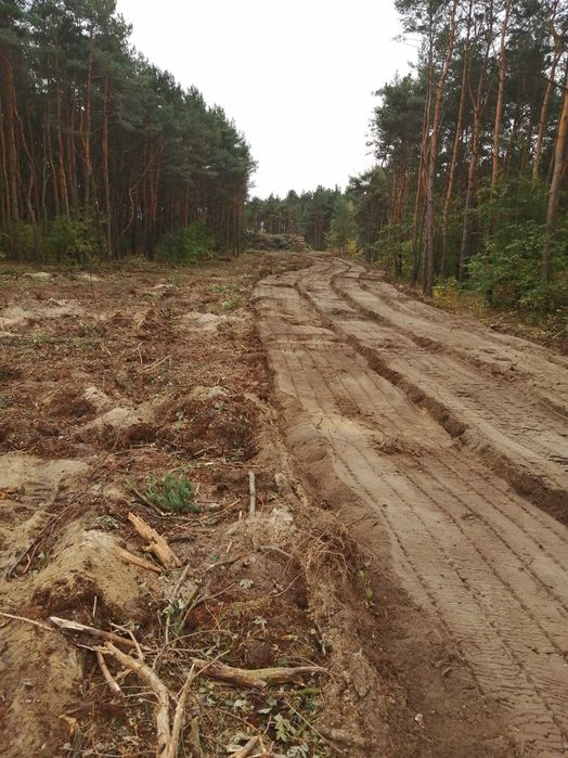 Mulczer wgłębny czyszczenie działek wycinka rekultywacja mulczowanie